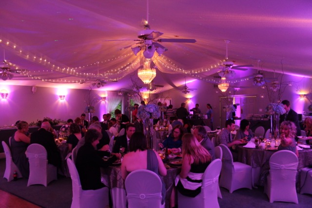 Showing an example of twelve uplights at a wedding